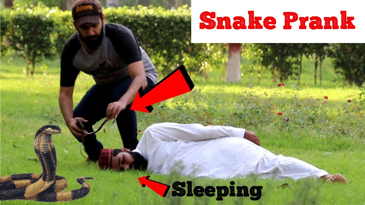 Snake Prank | Very Funny Reactions | Haris Awan