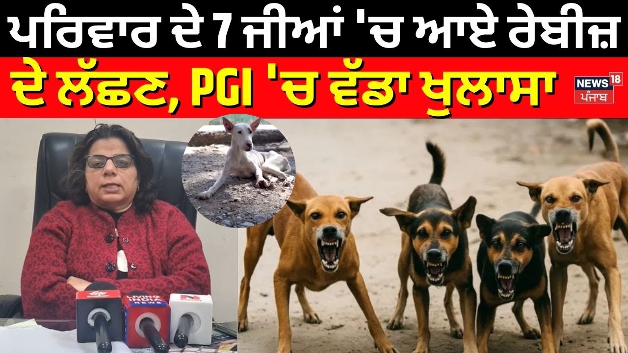Ludhiana News | ਪਰਿਵਾਰ ਦੇ 7 ਜੀਆਂ 'ਚ ਆਏ ਰੇਬੀਜ਼ ਦੇ ਲੱਛਣ, PGI 'ਚ ਵੱਡਾ ਖੁਲਾਸਾ | Rabies Symptoms | N18V
