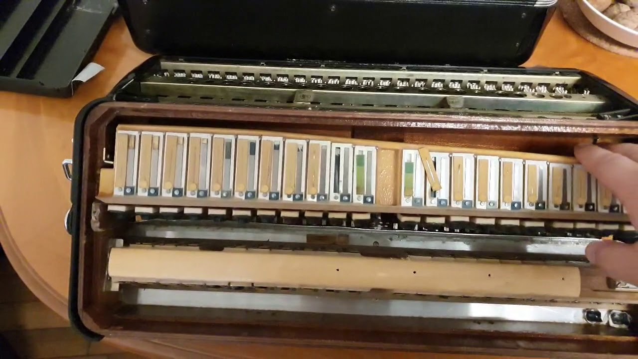 Devo limpar meu acordeon por dentro ?