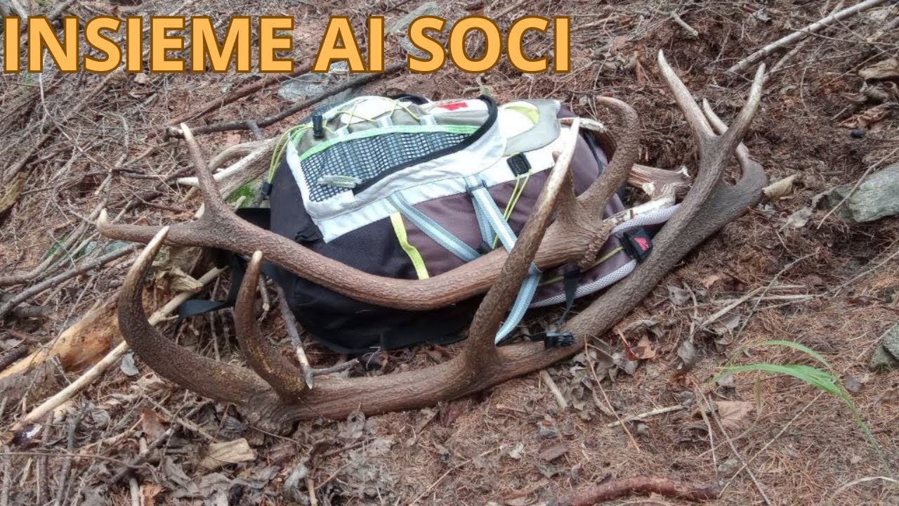 Palchi di cervo - Con i soci