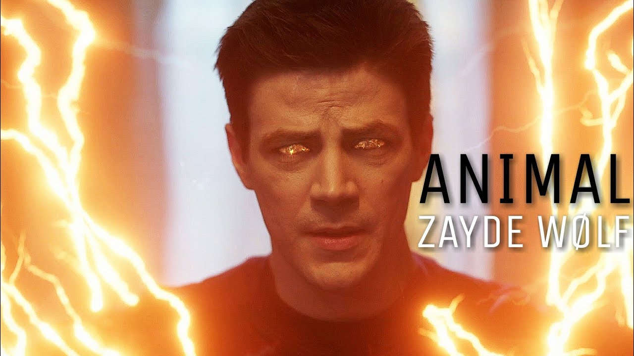 The Flash • ANIMAL