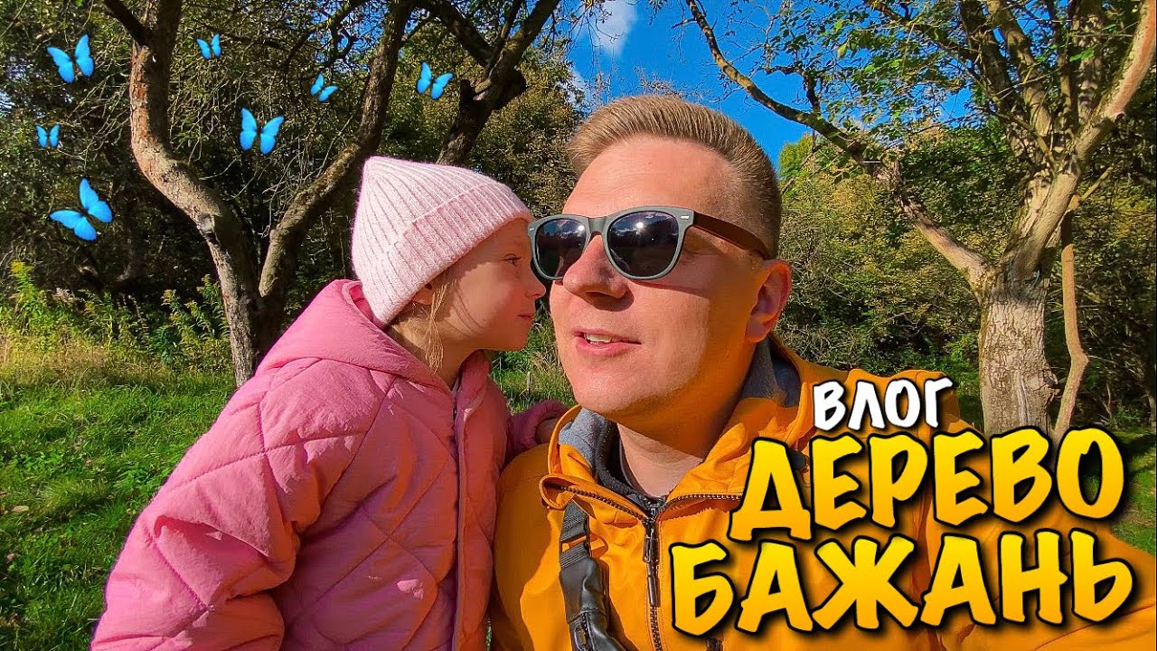 ДЕРЕВО БАЖАНЬ | ЗОЛОТА ОСІНЬ | НЕ ХОЧЕ ЇСТИ МЕНЮ В САДКУ ЗА КЛОПОТЕНКОМ | МЕТЕЛИК | ГУСІНЬ | VLOG