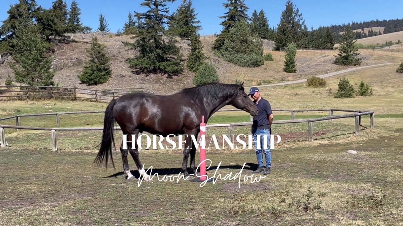 Horsemanship Exercises｜Moon-Shadow