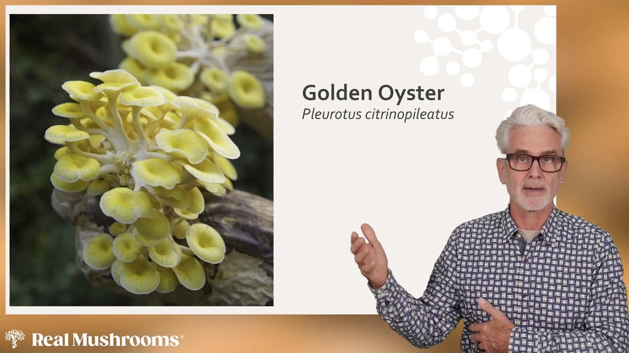 The Mushroom Mindset: Enhancing Cognitive Function with Ergothioniene | Webinar 1