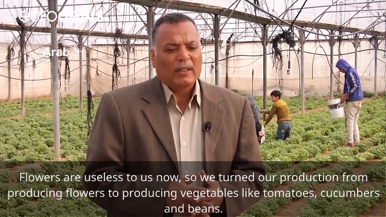 Export of 'useless' flowers halts in Gaza