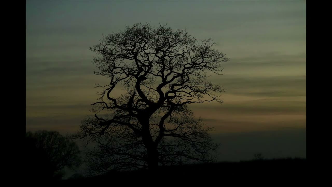 Cottesbrooke 201225