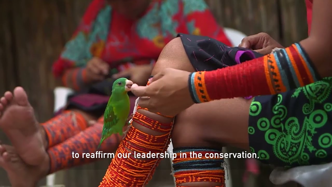 Indigenous Insights - Stewarding the Earth: Indigenous Women Leaders