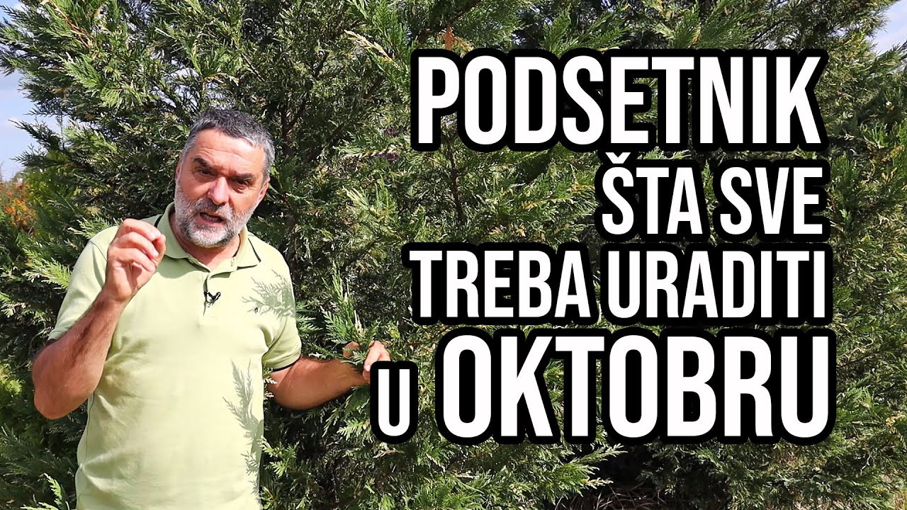 Podsetnik šta sve treba uraditi u oktobru