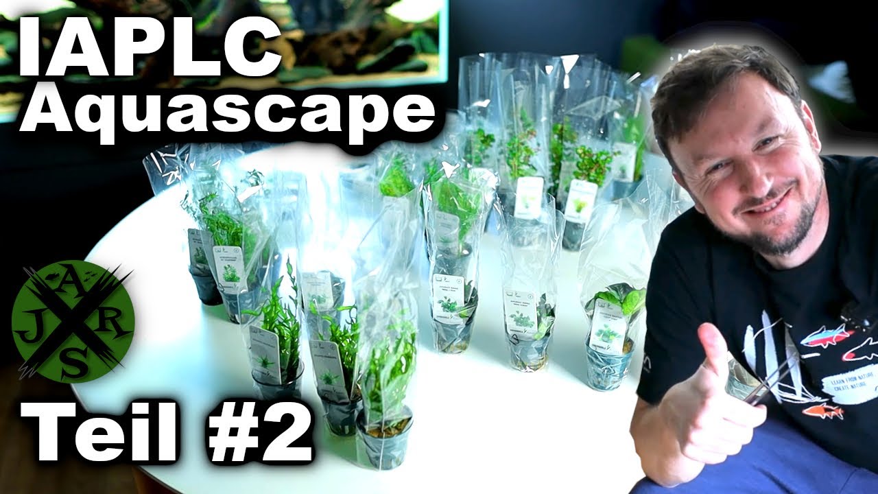 WETTKAMPF AQUARIUM für den IAPLC | Teil 02 Die BEPFLANZUNG | JR Aquascaping