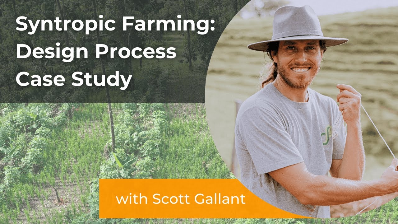 Syntropic Farming - Design to Installation Case Study