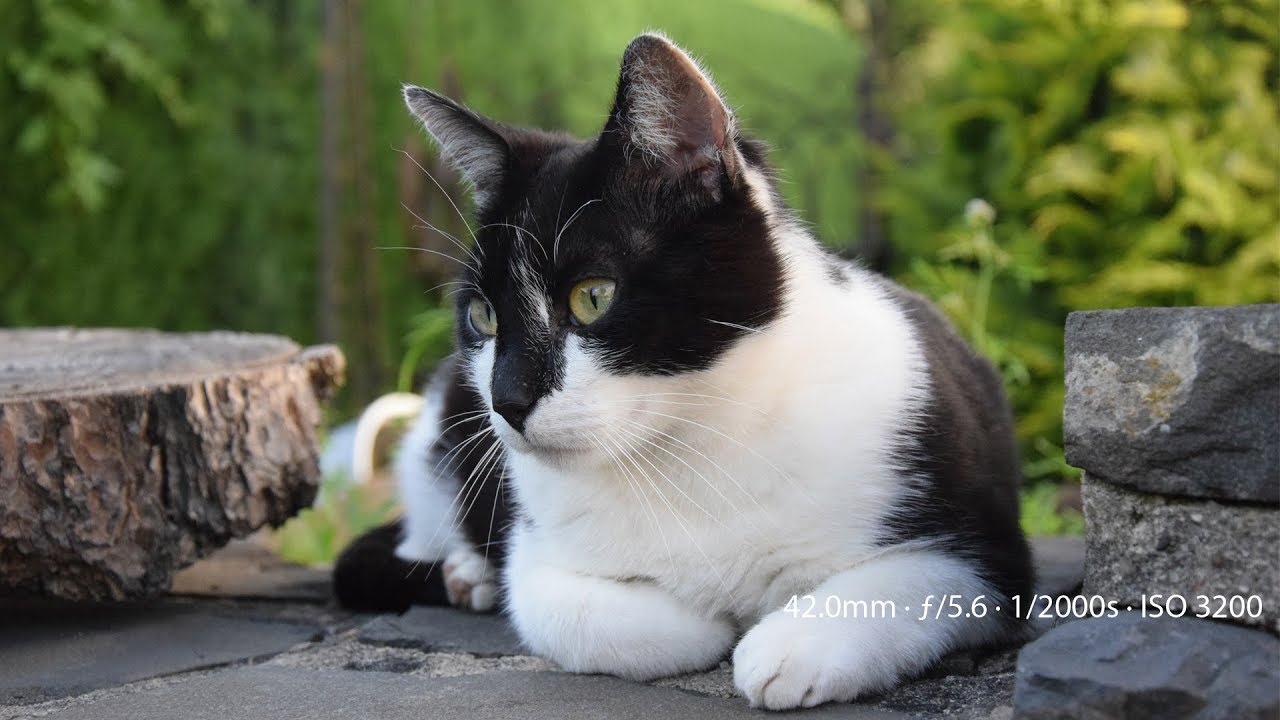 Nikon D5300 Sample Photos