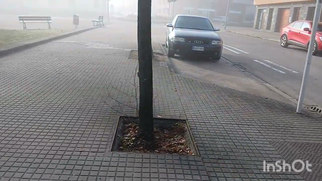 15 de enero de 2026