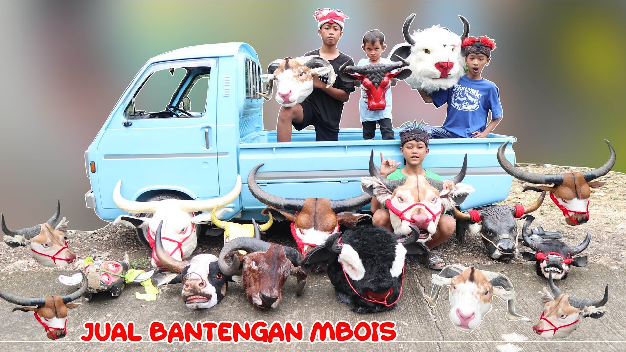 drama bocil | RENDI JUAL SEMUA BANTENGAN MBOIS DISKON SPESIAL IMLEK BARONGSAI BARONGAN