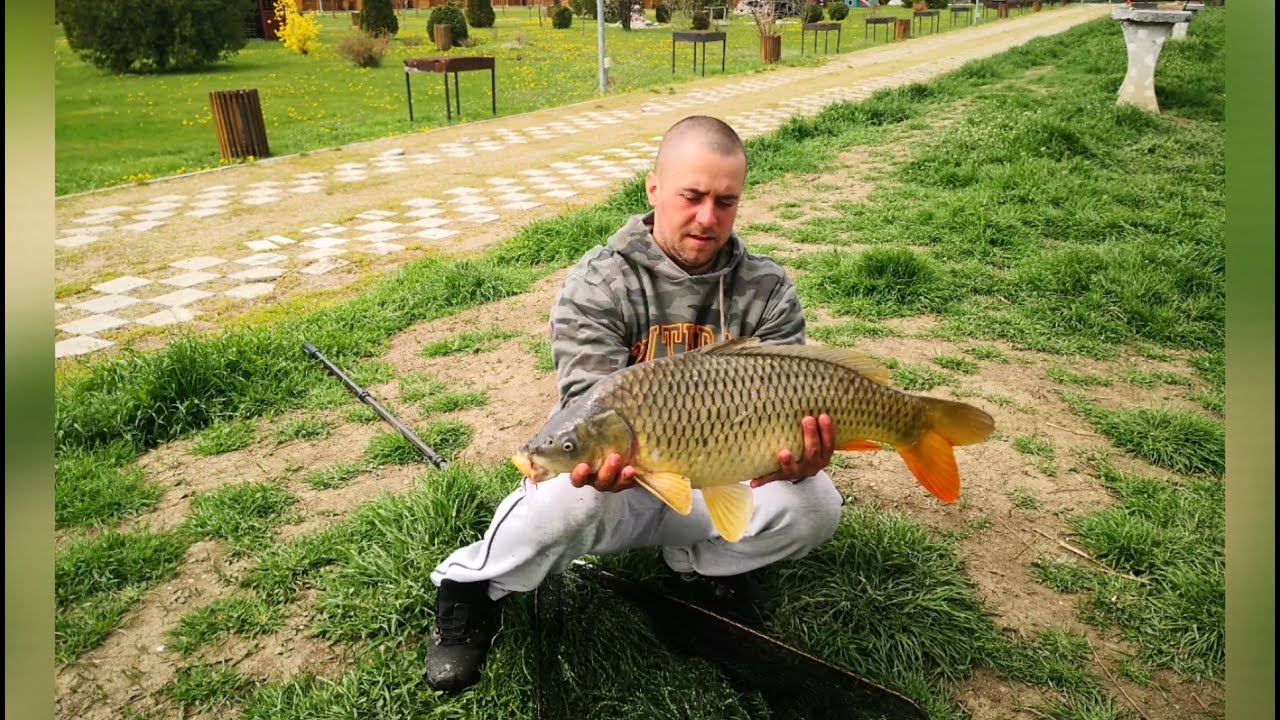 Zătun Galați - eliberare captura 7 kg part 2.