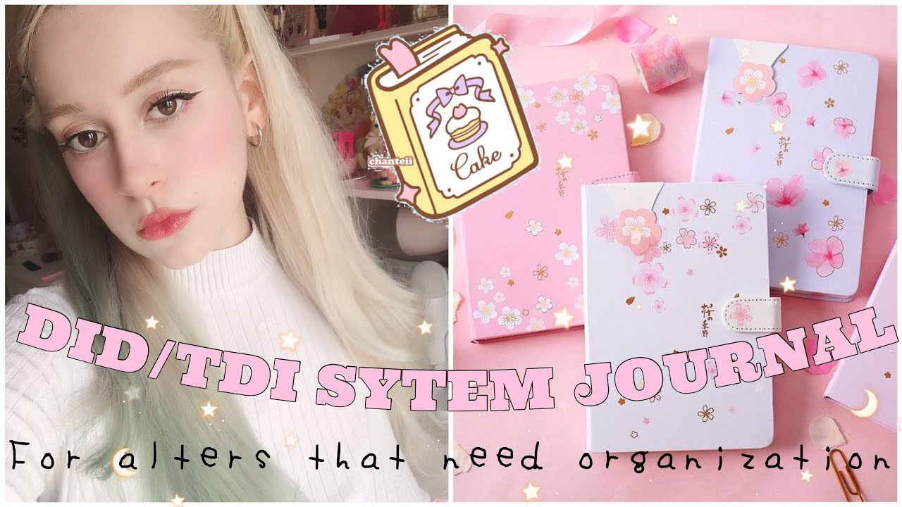 Notre journal de système TDI📖🌸Organisation, alters & + !