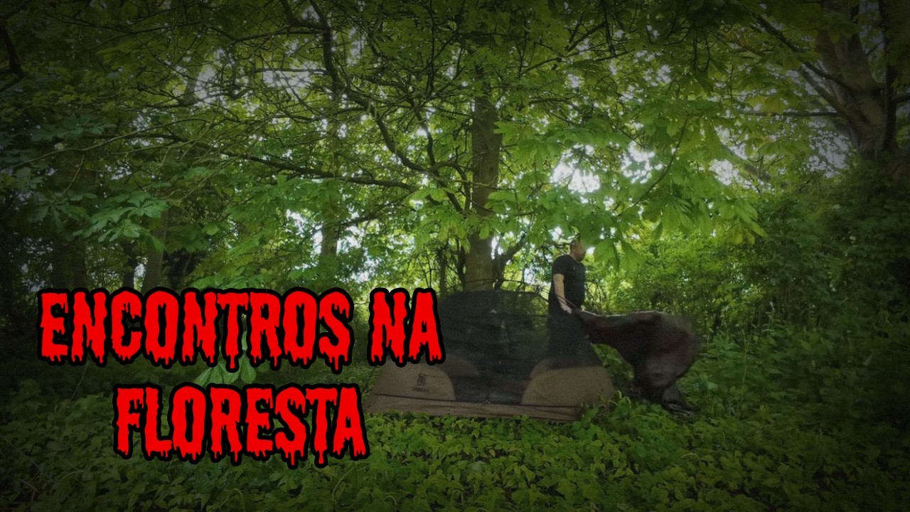 6 Encontros Assustadores na Floresta que Foram Filmados