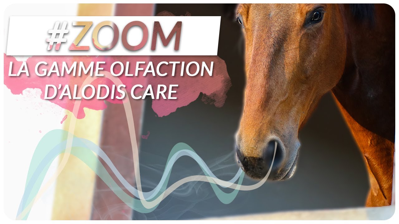 Des odeurs pour aider nos chevaux ? 👃 Zoom sur la gamme olfaction Alodis Care 🧡  | #OHLALAZOOM