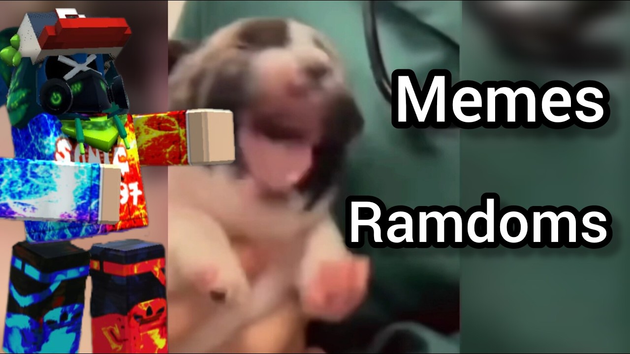 viendo meme ramdoms