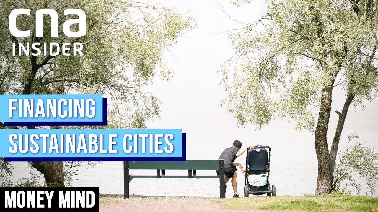 Are Sustainable Cities Too Expensive? | Money Mind | Sustainability