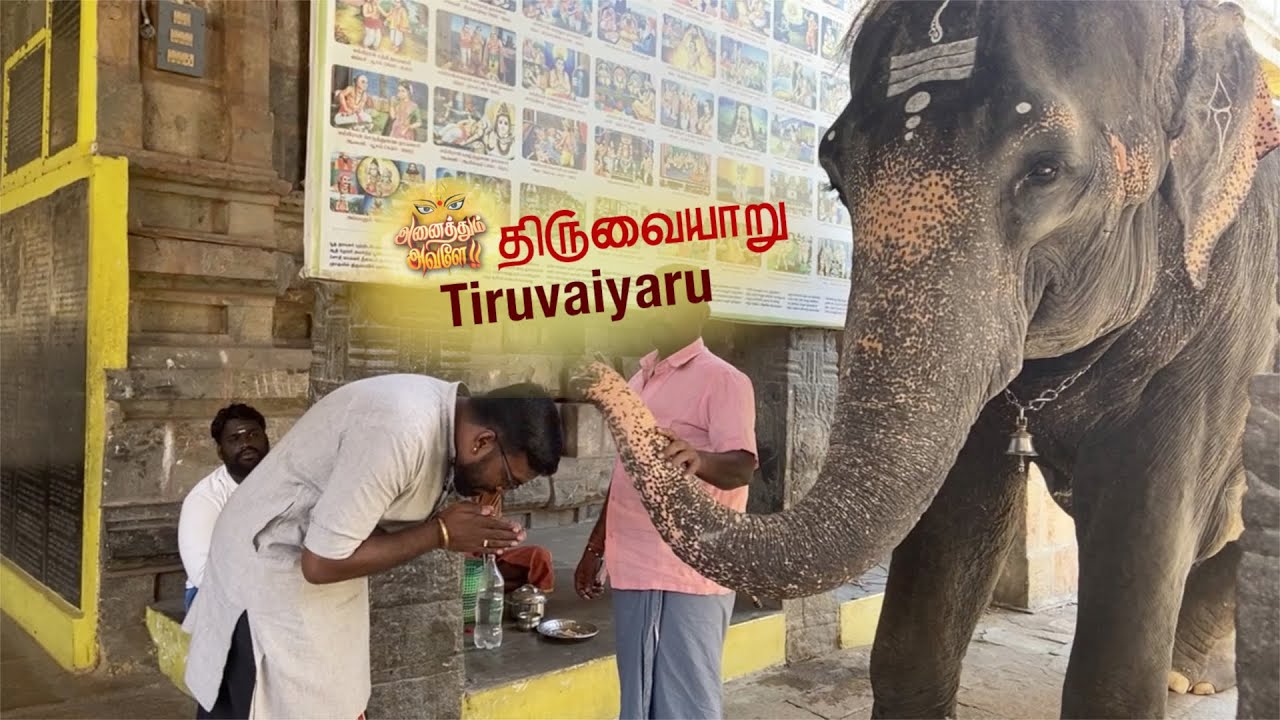 Anaithum Avale | Navarathiri Special series | Episode 3 | Thiruvaiyaru