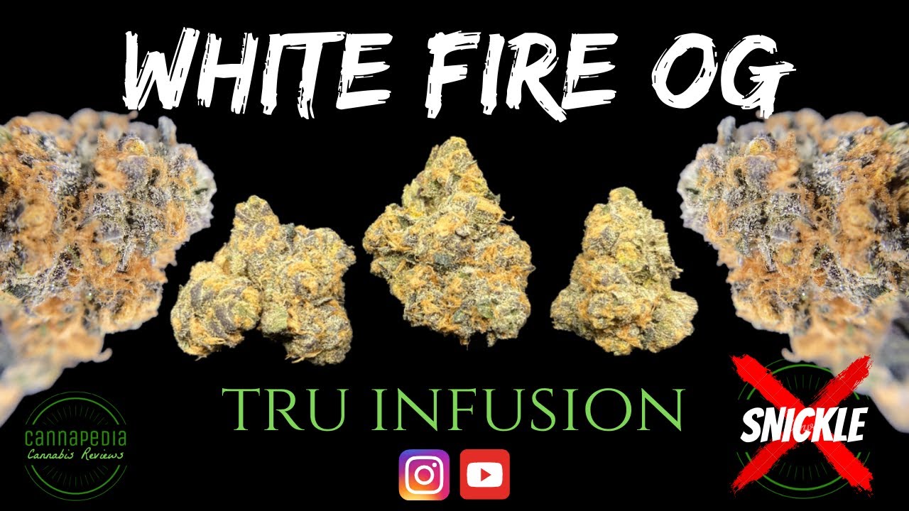 White Fire OG Strain Review - Tru Infusion - Cannapedia