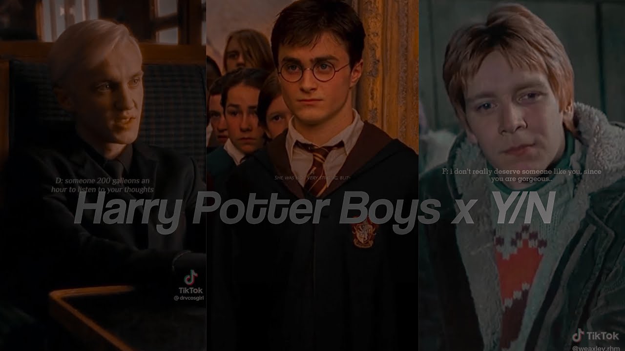 Harry Potter Boys x Y/N TikTok POV