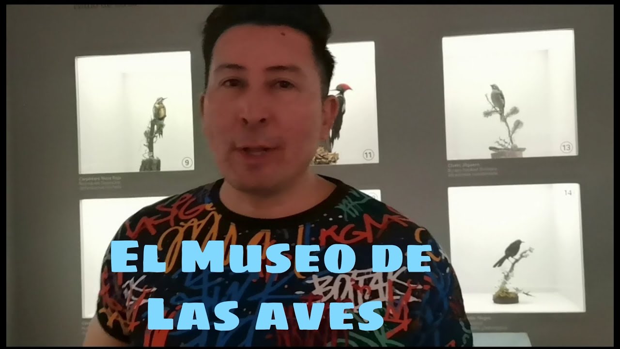 El fabuloso Museo de las Aves en Saltillo Coahuila