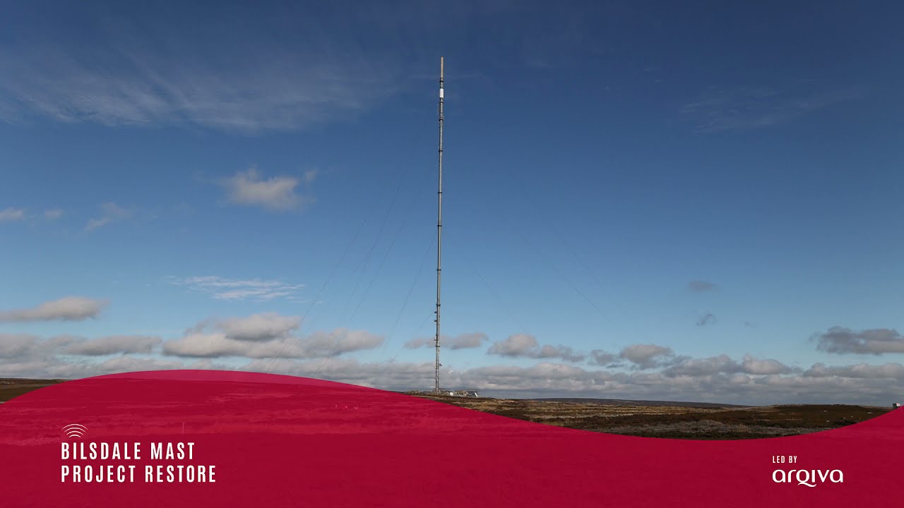 Arqiva Mast Dismantling