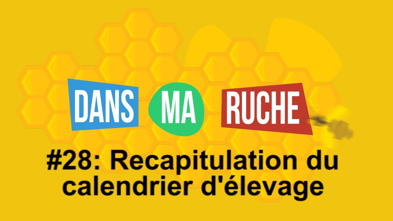 #28-Récapitulation du calendrier d'élevage des reines