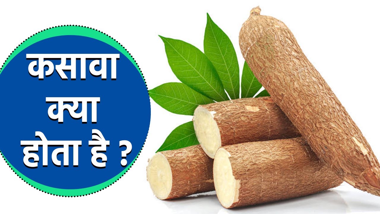 कसावा क्या होता है, कसावा खाने के फायदे और नुकसान | Boldsky