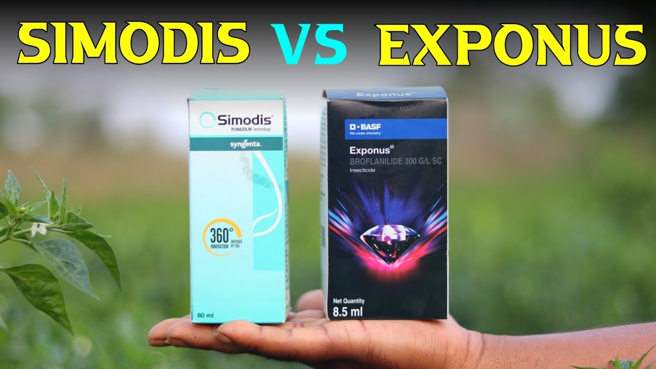 Simodis vs Exponus किसका कितना दम ! 😱