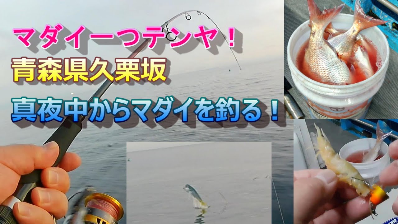 【マダイ】真夜中スタートの一つテンヤ！青森県久栗坂