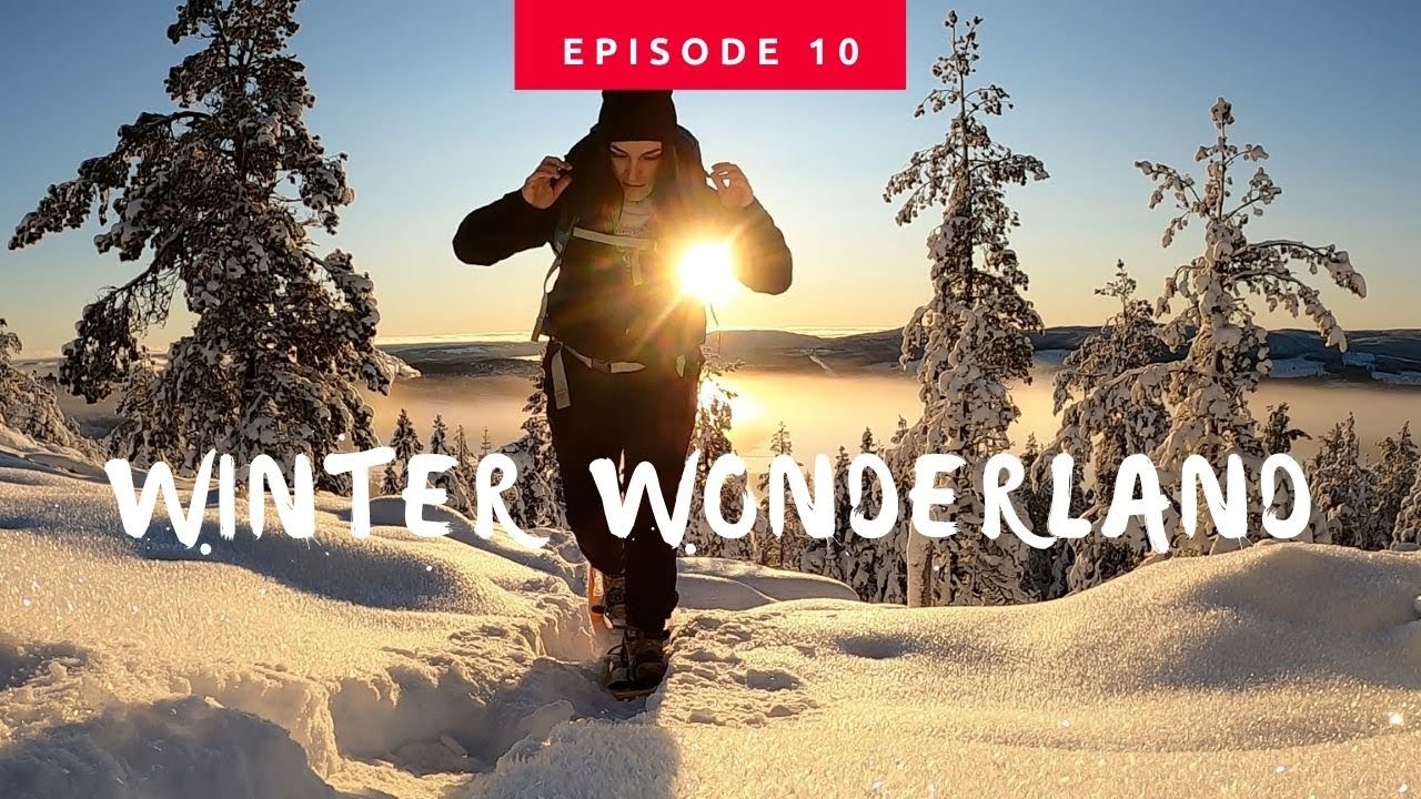 Winter wonderland || High Coast || Örnsköldsvik || Sweden