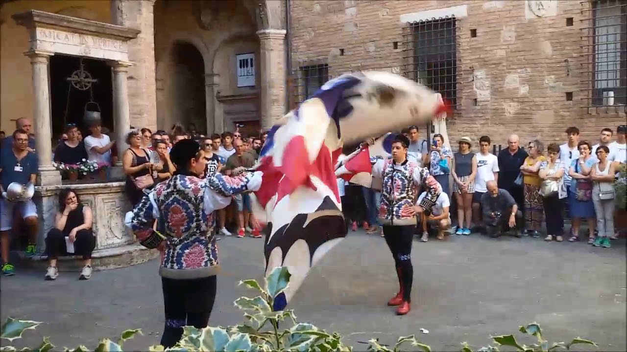 PALIO 2 LUGLIO 2019    GLI ALFIERI DELLA CONTRADA SOVRANA DELL'ISTRICE A PALAZZO CHIGI