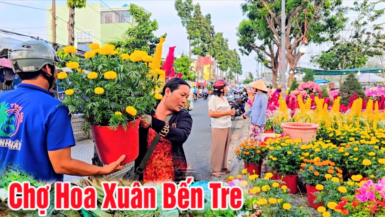 Chợ Hoa Tết Bến Tre Mới Nhất - Hoa Về Bến Tre Nhiều Vô Số 