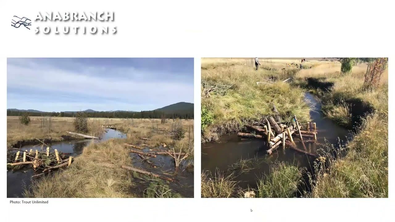 Process-Based Restoration in the Upper Klamath Basin: Stories, Lessons, and Continued Challenges