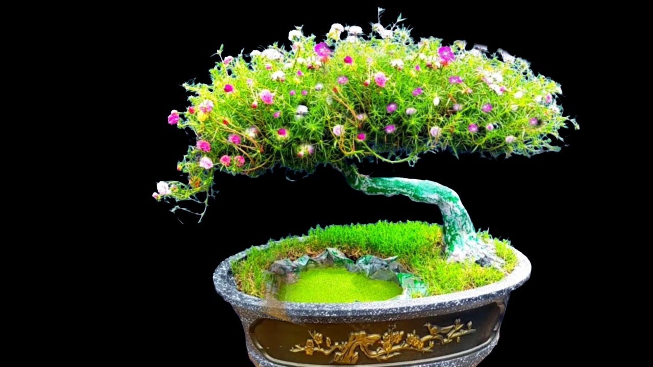 HƯỚNG DẪN LÀM HOA MƯỜI GIỜ BONSAI | MOSS ROSES