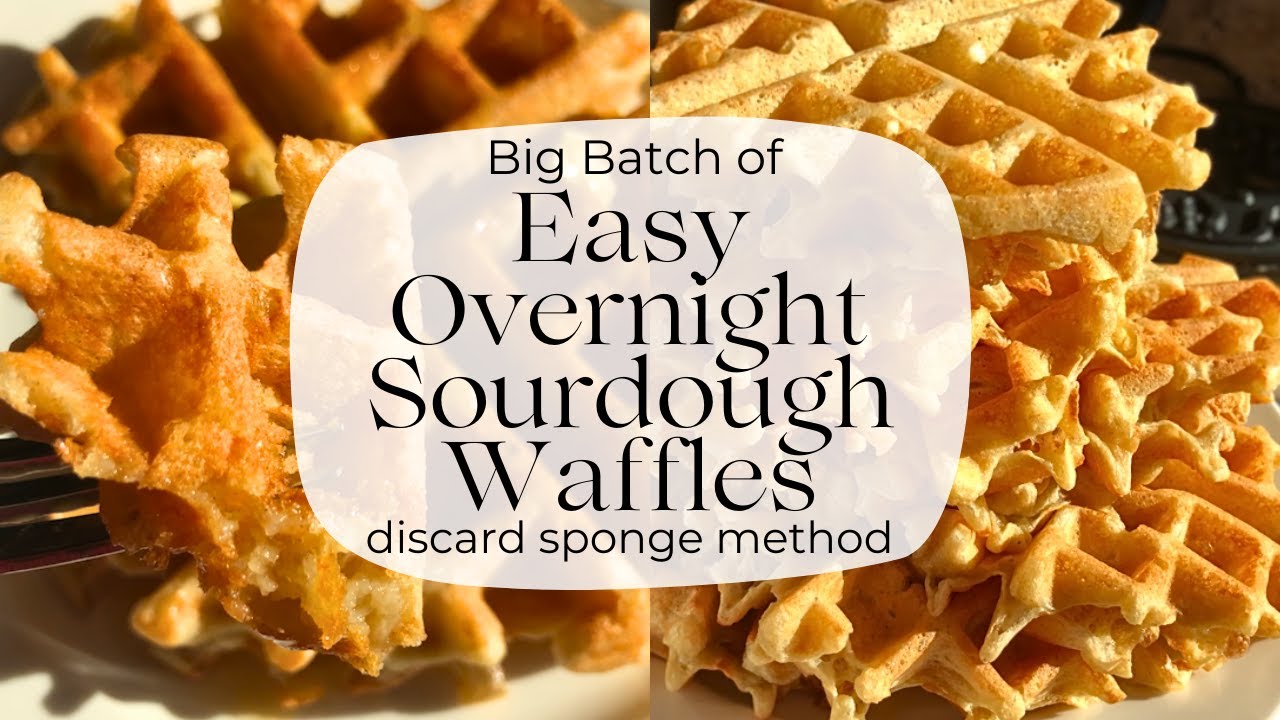 How to make Easy Overnight Sourdough Waffles with a discard sponge (Big Batch, vegan friendly)