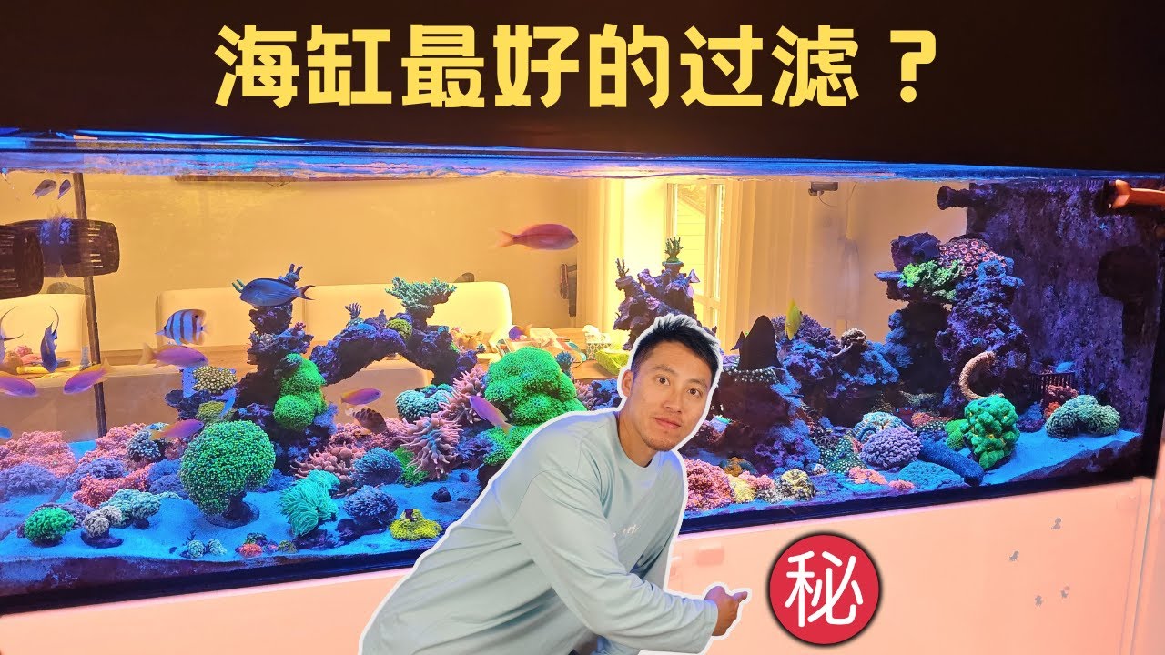 800升海缸过滤设备升级，红海Reefmat 1200