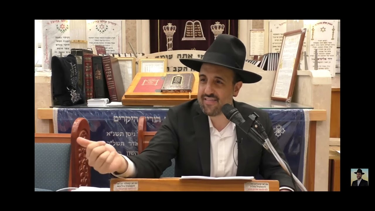 הרב מאיר אליהו שליט''א על הרש''ש זצ''ל, מהו שידוך מצויין לכל אדם נורמלי לביתו 😊