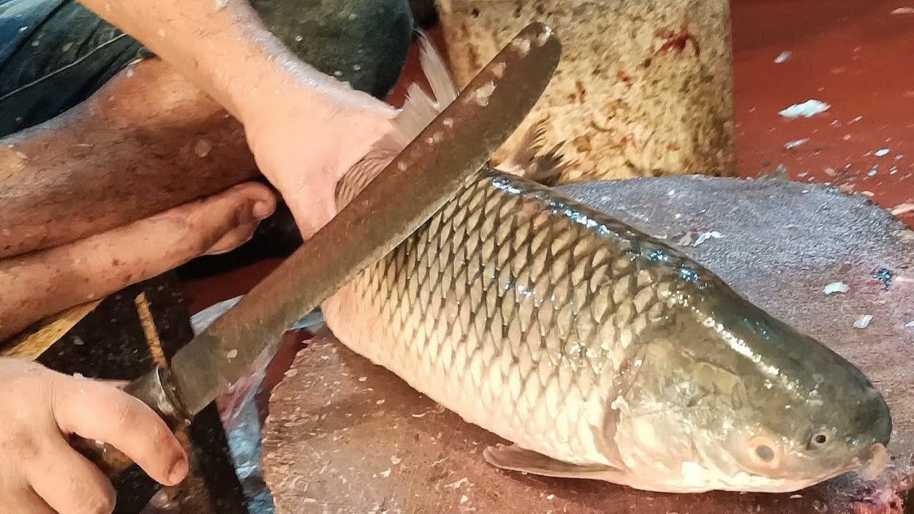 Amazing Huge Mrigal Fish Cutting In Fish Market | Cutting Skills