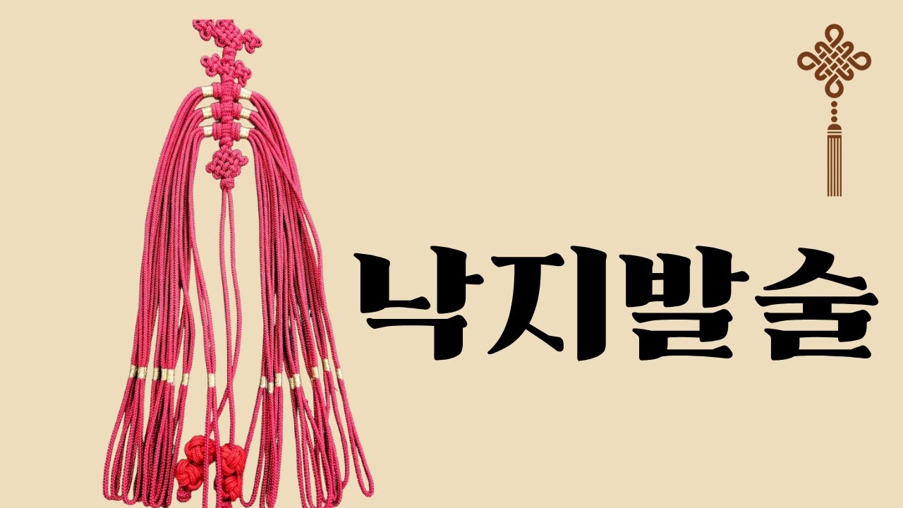 낙지발술