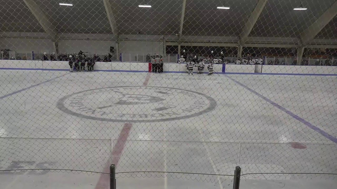 2/27/26 Dedham, Dover-Sherborn, Norton vs Martha's Vineyard Girls Ice Hockey Playoffs Round 1 Div 2