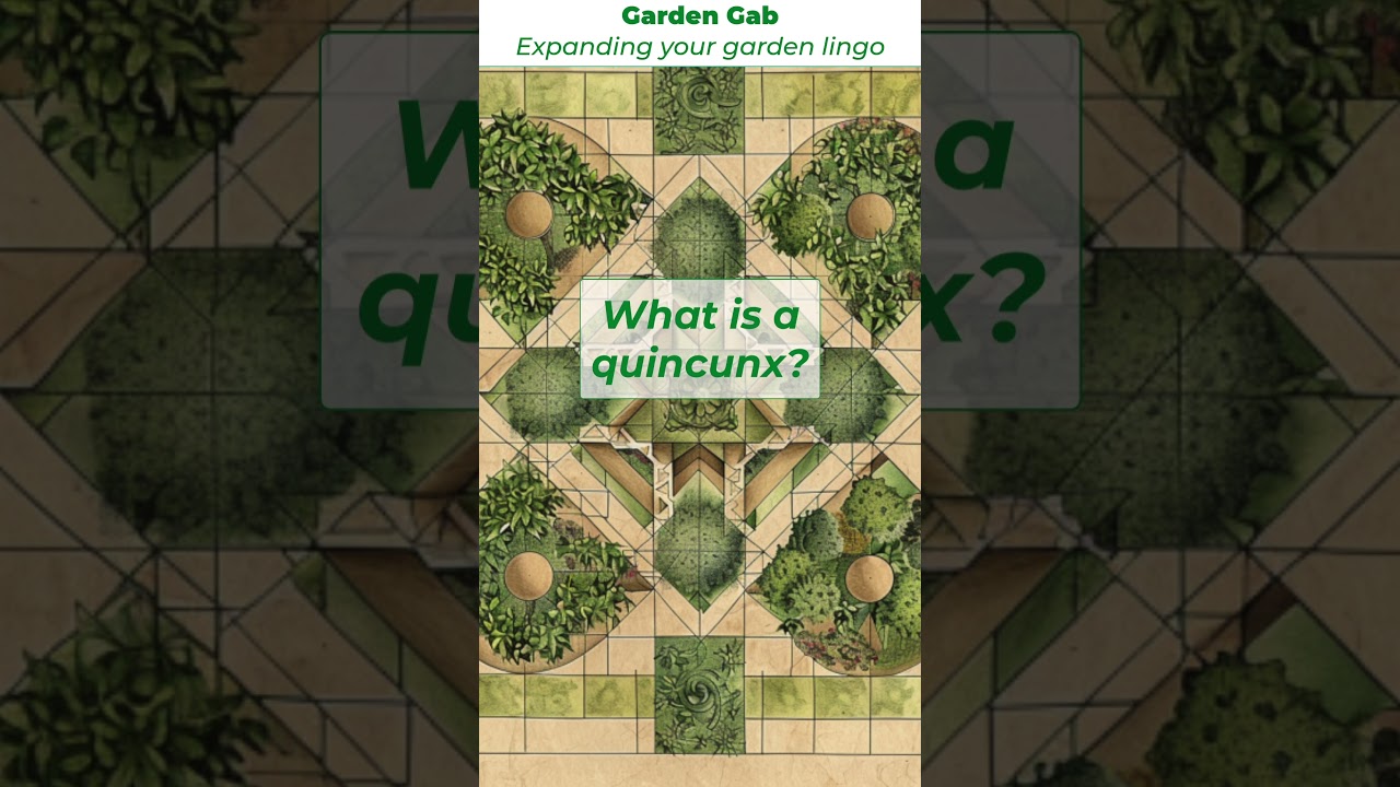 Gardening Word of the Day - Quincunx (No that's not a typo)