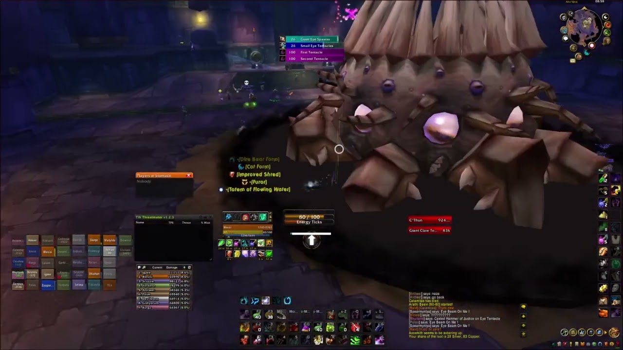 Turtle wow - feral dps - C'thun pov