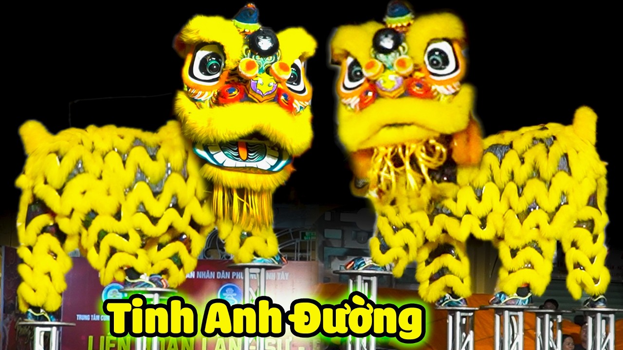 Múa Lân Hay Nhất Tết 2026 LSR Tinh Anh Đường biễu diễn Lân lên Mai Hoa Thung