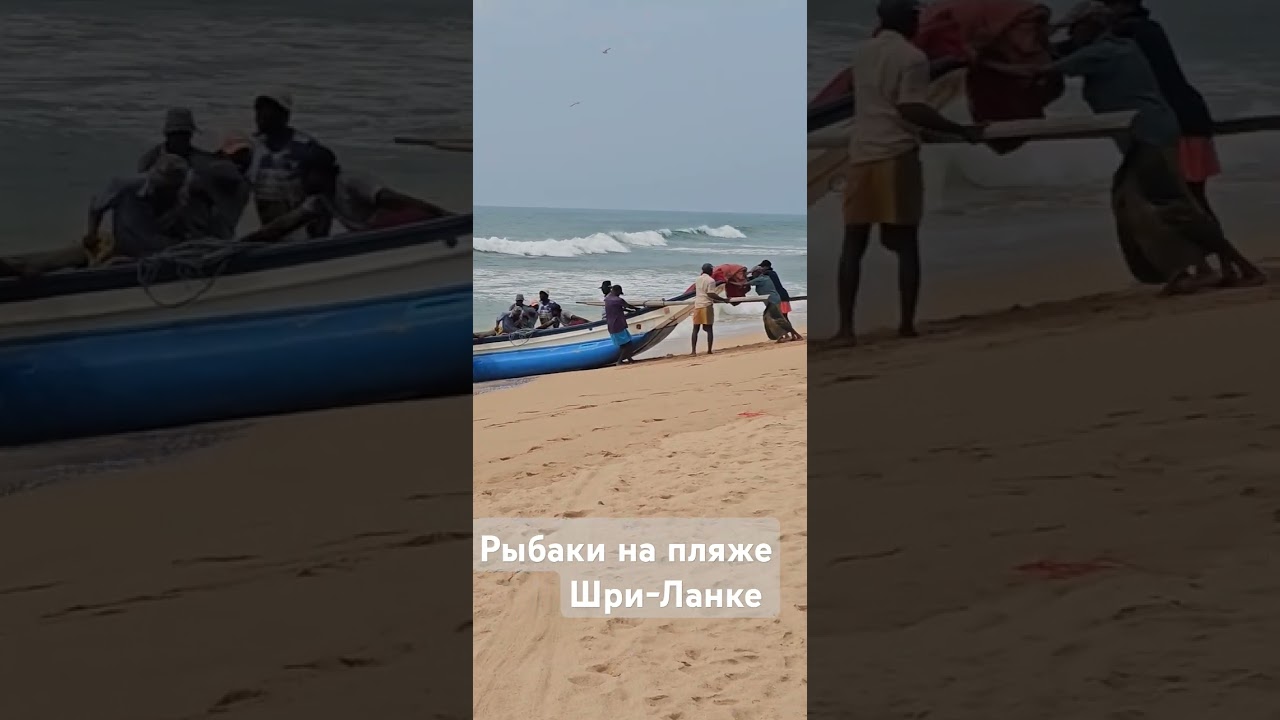 Рыбаки выходят в океан. Пляж Шри-Ланки #travel #srilanka #beach #srilankabeach