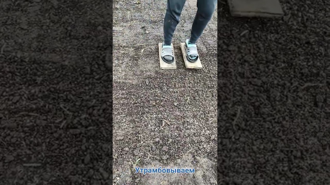 Как посадить газон своими руками. Лучший способ!