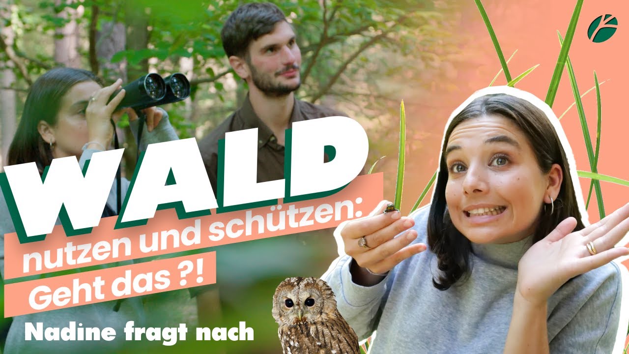 Wald nutzen und schützen: Geht das?! Nadine Hadad fragt nach I BaySF Web-Reportage