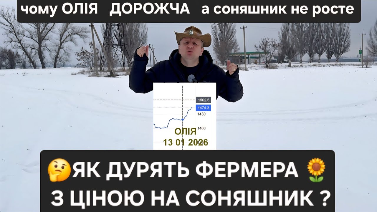 ЩО БУДЕ З ЦІНОЮ НА СОНЯШНИК ПІСЛЯ ВІЙНИ? ЦІНА НА ОЛІЮ РОСТЕ, А СОНЯШНИК НА МІСЦІ #агрован #фермер 
